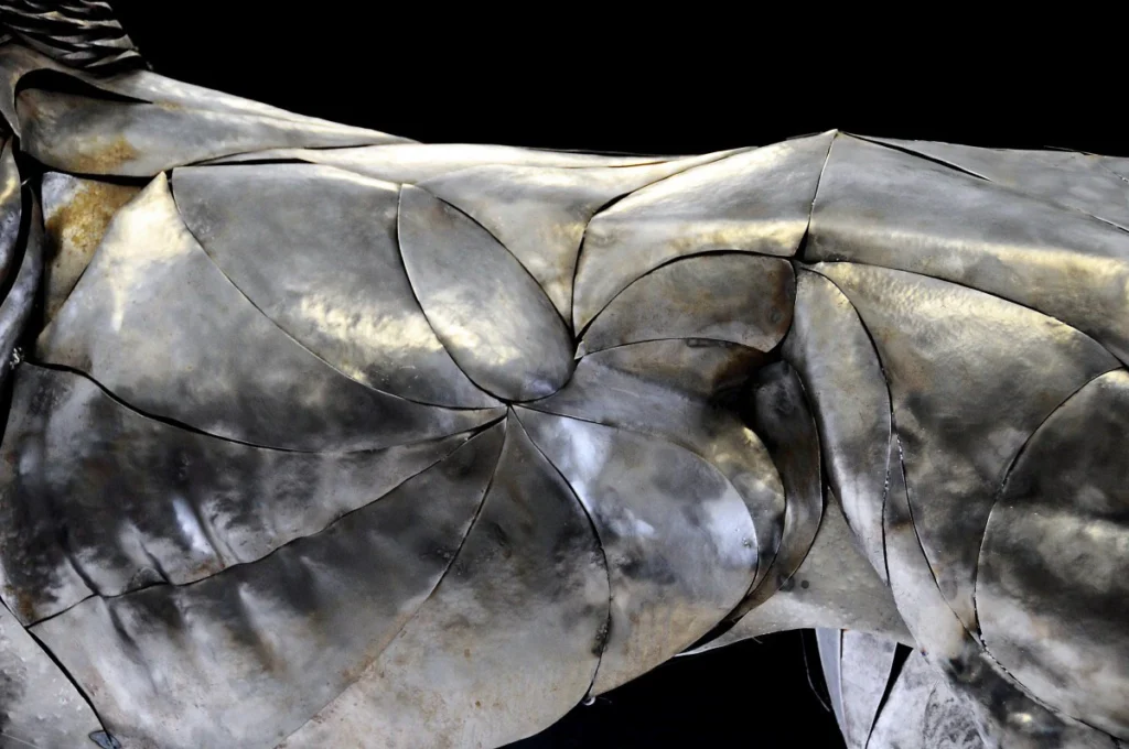 92b07911177475.560f319323a7f